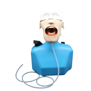 Simulatore di addestramento dentale per l'educazione medica, modello avanzato di pratica per l'insegnamento dei denti della testa e della spalla umana - Product Image 1