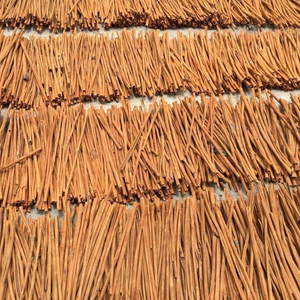 <b>Cinnamon</b> Cortex assia stick from Vietnam - Product Image 1