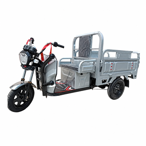 มอเตอร์ไร้แปรงถ่าน <span class=keywords><strong>60V</strong></span> รถ<span class=keywords><strong>สามล้อ</strong></span><span class=keywords><strong>ไฟฟ้า</strong></span><span class=keywords><strong>บรรทุก</strong></span>สินค้าแบบเปิด 3 ล้อ สำหรับ <span class=keywords><strong>1</strong></span> ที่นั่ง รับน้ำหนักได้ 400 กก. - Product Image 1