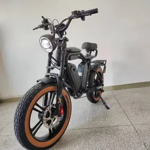 Mag Wheel Electric Bike Dual Motor Dual Battery 2000Watt 44Ah48V Oil Brake Full Suspension Fat Tire Electric Bike Dual Motor