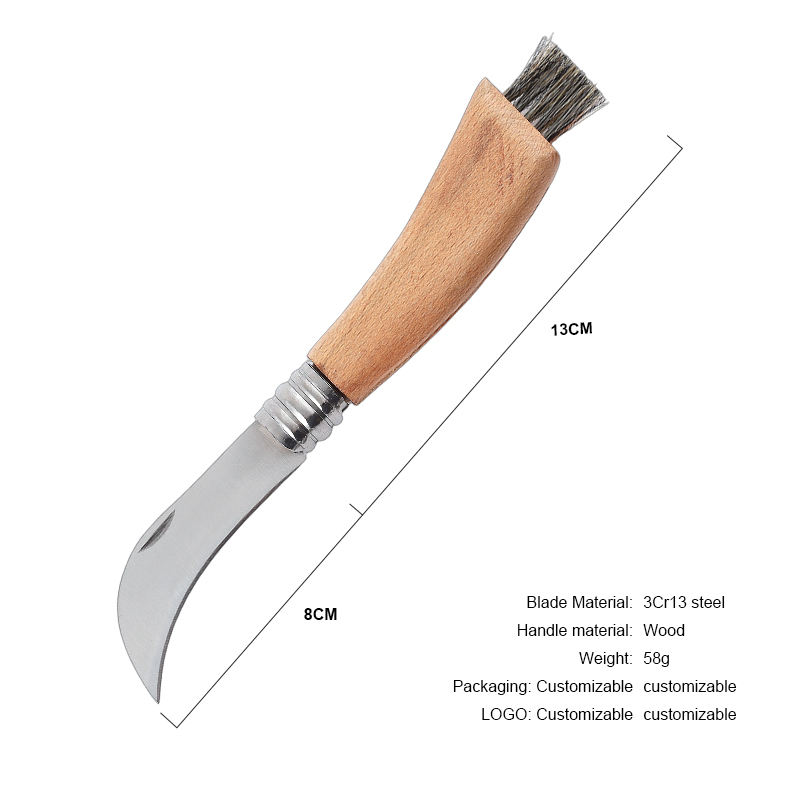 A พร้อมแปรง