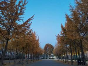 Lienzo de alta calidad, cuadro impermeable moderno Simple, impresiones en lienzo, pinturas de paisaje impresas para sala de estar - Product Image 5