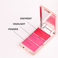 Palette de fard à joues végétalien 3-en-1 pigmenté, logo personnalisé, multi-usages pour illuminateur et blush, fini naturel, résistant à l'eau, vente en gros