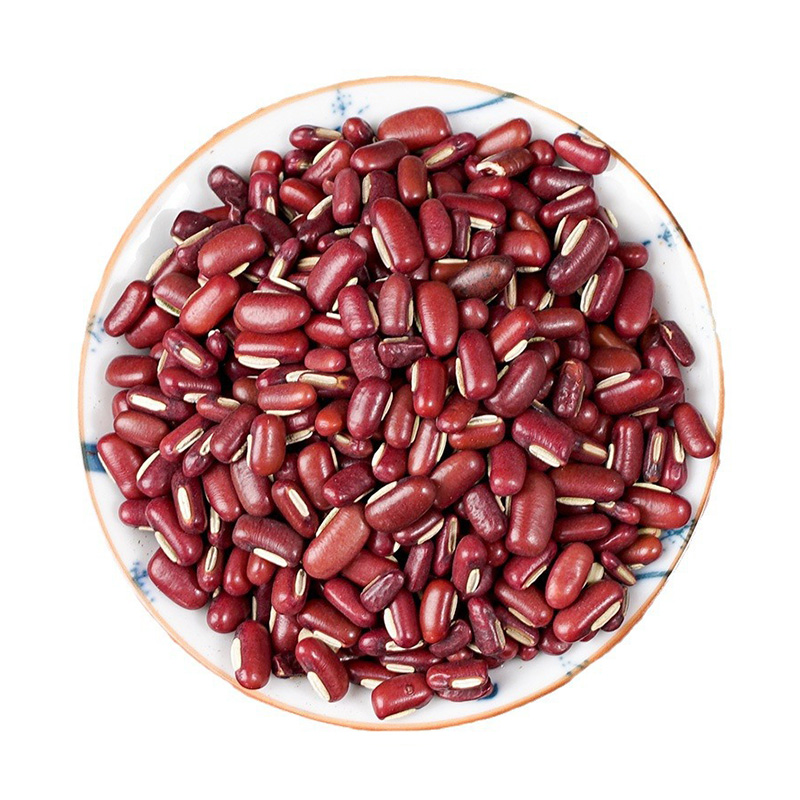 Natural Organic Adzuki Bean Traditional Chinese Medicine Chi Xiao Dou for Intestine Health and Wellness