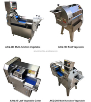 Commerciële automatische multifunctionele groente- en fruitsnijder/-versnipperaar met motor, 304 roestvrijstalen aardappelverwerkingsmachine