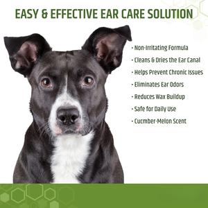 OEM Custom 100 Lingettes nettoyantes pour oreilles de chien <span class=keywords><strong>Nettoyant</strong></span> <span class=keywords><strong>otic</strong></span> doux et efficace à l'aloe eucalyptus pour le soulagement des démangeaisons infectieuses - Product Image 4