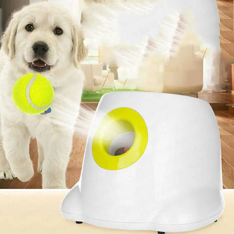 Automatisches Hunde training Spielzeug Werfen Tennisball Launcher Maschine Pet Ball Spielzeug Emissions gerät Interaktives Fetch Dog Toy