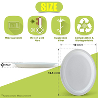 Assiette ovale jetable en bagasse de 10 et 12 pouces, compatible micro-ondes, biodégradable, naturelle/blanche, pour repas