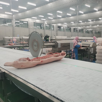 Scie à dépecer les carcasses à disque à basse vitesse durable, machine de découpe haute performance pour abattoirs de bovins, ovins et porcins