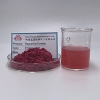 Gefreeze-droogd frambozenpoeder, natuurlijk fruitpoeder, frambozen-sappoeder voor dranken, bakkerij, desserts en supplementen