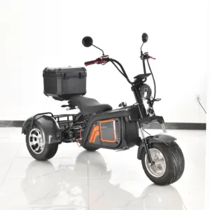 Scooter elettrico per mobilità a 3 ruote Speedway per adulti all'ingrosso con Display