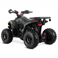 Tao Motor 2025 Nouvelle Quad 110cc Pas Chère pour Enfants