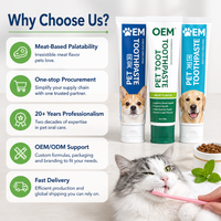 OEM ODM Pâte dentifrice pour animaux de compagnie à base de plantes, soin buccal anti-sensibilité, protection contre les caries pour chiens et chats, contrôle de la plaque dentaire