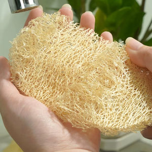 ฟองน้ำรังบวบธรรมชาติ (2แพ็ค)-ฟองน้ำธรรมชาติสำหรับอาหาร-ฟองน้ำที่เป็นมิตรกับสิ่งแวดล้อมและย่อยสลายได้ - Product Image 2