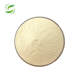 Экстракт дрожжей порошок гидролизованный дрожжевой экстракт пищевой) - Product Image 1