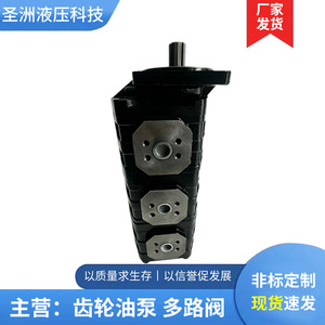 Pompe à huile hydraulique triple Shengzhou Hydraulics CBGJ505032 pour engins de forage et machines de construction en fonte - Product Image 5