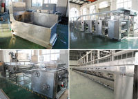 Ligne de production de biscuits en forme de chat HG, machine à fabriquer des biscuits pour chats, machine à biscuits pour chats expansibles, usine de fabrication de biscuits