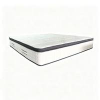 Nouvelle Arrivée Matelas en Mousse Compressée Luxe Moderne Tailles Double, Simple, King, Queen pour Hôtels et Chambres à Coucher