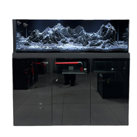 Aquarium étroit Jin Jing avec pompes à eau, filtre de fond pour poissons super blancs, verre ultra transparent, style industriel