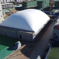 Membrana Arquitectónica de PVC Moderna, Resistente a la Intemperie, Impermeable y Retardante de Llama para Almacenamiento Industrial, Edificios Inflables y Fábricas