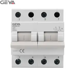 GEYA GYHO8-125 2P Din Rail Interrupteur d'isolation de puissance MTS transfert manuel types de commutateur inverseur