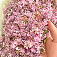 Kelopak Bunga Sakura Berkualitas Tinggi Ying Hua, Bunga Sakura Kering untuk Teh