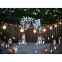 Guirlandes lumineuses LED G40 étanches de 25 pieds et lumières en plastique pour la décoration extérieure de jardin, de la Saint-Valentin, de mariage et de fête