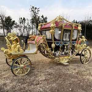 Calèche royale électrique populaire de haute qualité pour mariages et visites touristiques, capacité 6 personnes, avec pneus en caoutchouc massif - Product Image 6