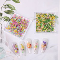 JIASI JS-XGH Mini Boîte d'autocollants pour nail art avec fleurs séchées naturelles 3D colorées mélangées