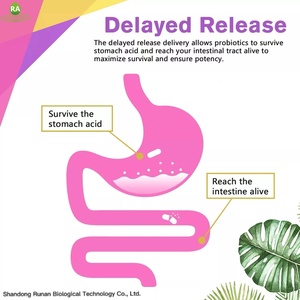 Daidaihua Fabriek Groothandel Oem Ondersteund Spijsverteringssupplement Kurkuma Probiotica Magere Colon Reinigingspillen Voor Volwassenen - Product Image 5