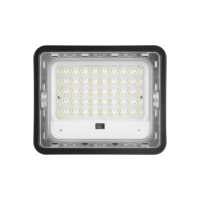 Projecteur LED Solaire Personnalisable OEM-ODM 100W-300W 3000K/4500K/6500K avec Télécommande, Étanche IP65, Certifié RoHS pour Jardin