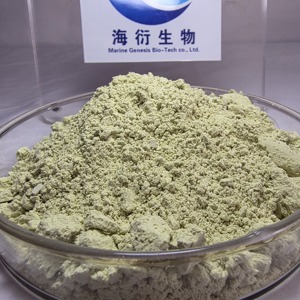 مسحوق بروتين نباتي عضوي بدون محليات صناعية، 60% بروتين بذور اليقطين، قابل للتخصيص - Product Image 2