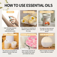 Huiles essentielles 100% pures et biologiques, 10 ml, citron, arbre à thé, gingembre, pour l'aromathérapie, les soins de la peau, diffuseur, huile essentielle, conception d'étiquettes gratuite