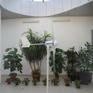 Generatore di Energia Gratuita Piccolo 1000 Watt 12 Volt 24 Volt 48 Volt Turbina Eolica a Energia Gratuita Prodotti per Energia Eolica - Product Image 5