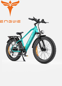 Envío Directo ENGWE E26 Bicicleta de Montaña con Neumáticos Gruesos para Nieve, 250w, 26*4.0 pulgadas, 48v16ah, Versión Masculina, Plataforma Alta -Negro E26-EU E26 High-S - Product Image 5