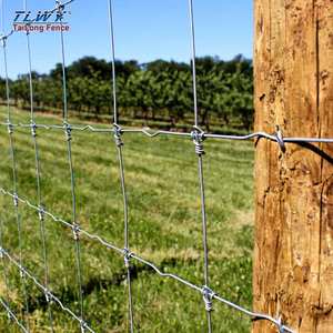 Benutzer definierte <span class=keywords><strong>3</strong></span> Fuß Farm Fechten Hog Wire Farming Fechten Wire Mesh Wire Mesh Farm Zaun - Product Image 5