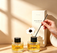 Bouteille diffuseur de parfum sans flamme 100 ml en gros, désodorisant d'ambiance à huiles essentielles, bouteille diffuseur à bâtonnets avec logo personnalisé