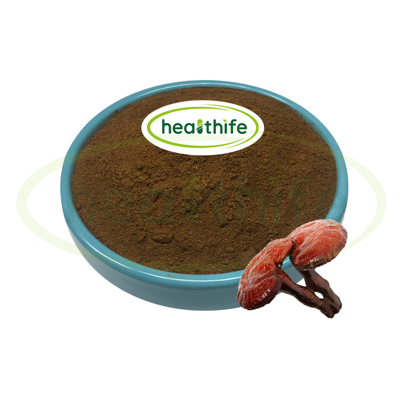 Healthife EU & USDA 인증 유기농 Ganoderma Lucidum 추출물, Reishi 버섯 추출물 분말