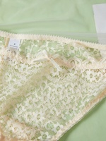 Pantalon transparent en dentelle pour femmes, design tentant, perspective, sous-vêtements en dentelle, 2025 SXLH