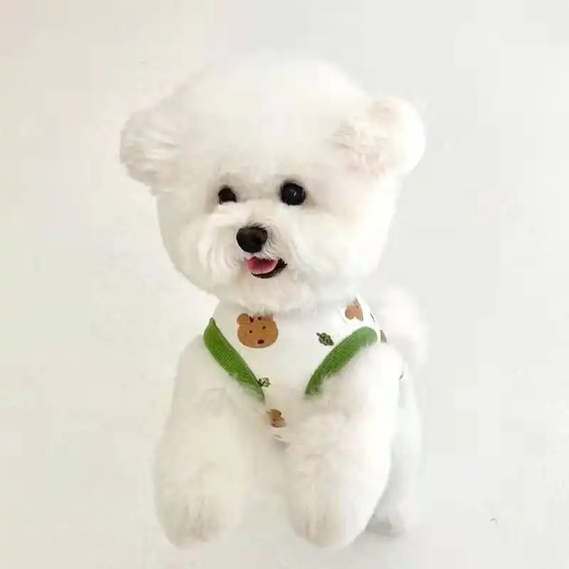 2024Hot Sale Summer Pet Clothes Classic Shirt Style for Dogs Cats for Schnauzer Poodle Mi Bo Mei Teddy Panda Than Other Breeds