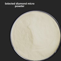 Poudre de polissage en gros, poudre abrasive effet miroir, micropoudre diamantée pour moules - Fournisseur