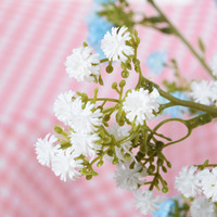 2025 étoiles décoration de mariage Ins vent main Bouquet réaliste artificiel bébé souffle fleur colle douce sensation Simulation fleurs