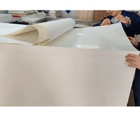 Papel para Impresión por Transferencia de Agua para Cerámica, Vidrio y Cascos, Película Hidrográfica de Alta Definición y Duradera, Papel para Calcomanías Acuáticas