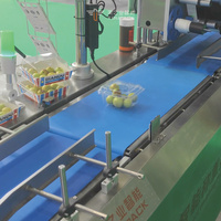 TOUPACK Automatische Weegschaal voor Fruit, Groenten, Eieren, Vlees, Flessen, Trays, Kartons, Papieren Bekers, Realtime Print- en Etiketteermachine