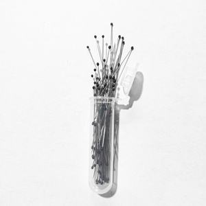 100 Unidades por Tubo, 11 Tamaños Internacionales Diferentes, Alfileres Entomológicos de Acero Inoxidable para Especímenes de Insectos - Product Image 2