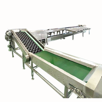 Oranje Macadamia Kiwi Kersen Fruit Groente PLC Gecontroleerde Fruitverwerkingsinstallatie Sorteermachine