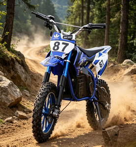 Nouvelle Conception 2026 Mini Moto Cross 500W 36V Haute Performance Moto Sportive Couleur Personnalisée - Product Image 4