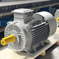 Moteur asynchrone 50HZ 60HZ 1440 tr/min 30kw 40hpMoteur triphasé Moteurs électriques à courant alternatif