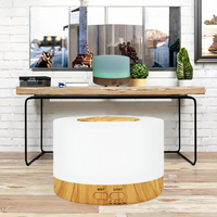 Diffuseur d'huiles essentielles H2O Travel Rain Cloud, humidificateur, approuvé CE Rohs, pour usage domestique et extérieur, pour hôtels et voitures