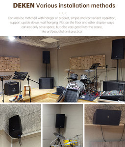 DEKEN FLEX-T8 Surround Stage Club Pro Système de sonorisation Concert Stéréo Gamme complète Haut-parleur passif Audio dj Haut-parleur professionnel - Product Image 6